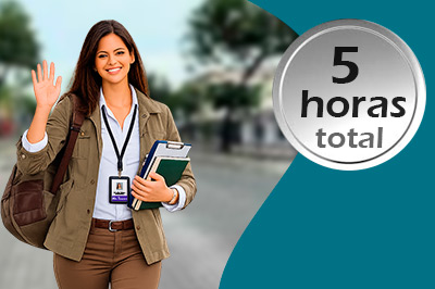 Paquete Básico Full: Clases por Lecciones (5 horas por semana, por 5 días).